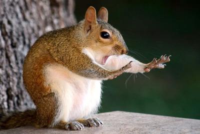 Прикрепленное изображение: scale_1200 (5).jpg